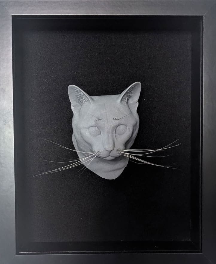 Cat3Dprint